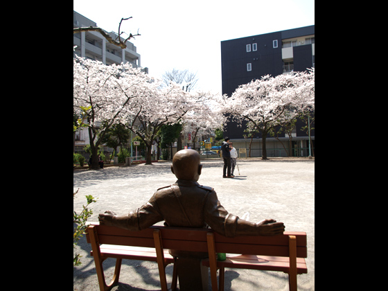 「ワシの横、空いてるよ！キレイな桜、一緒に見ないか？」
