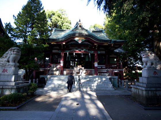 江戸川沿いに建つ本殿。近年ここで神前式を挙げるカップルも多いとか。