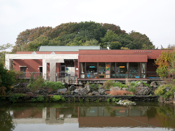 水元公園沿いを北へ。レンガの建物が水辺のふれあいルーム。