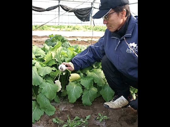 すぐそばで収穫したての野菜が手に入る幸せ。区民よ実感されたし。